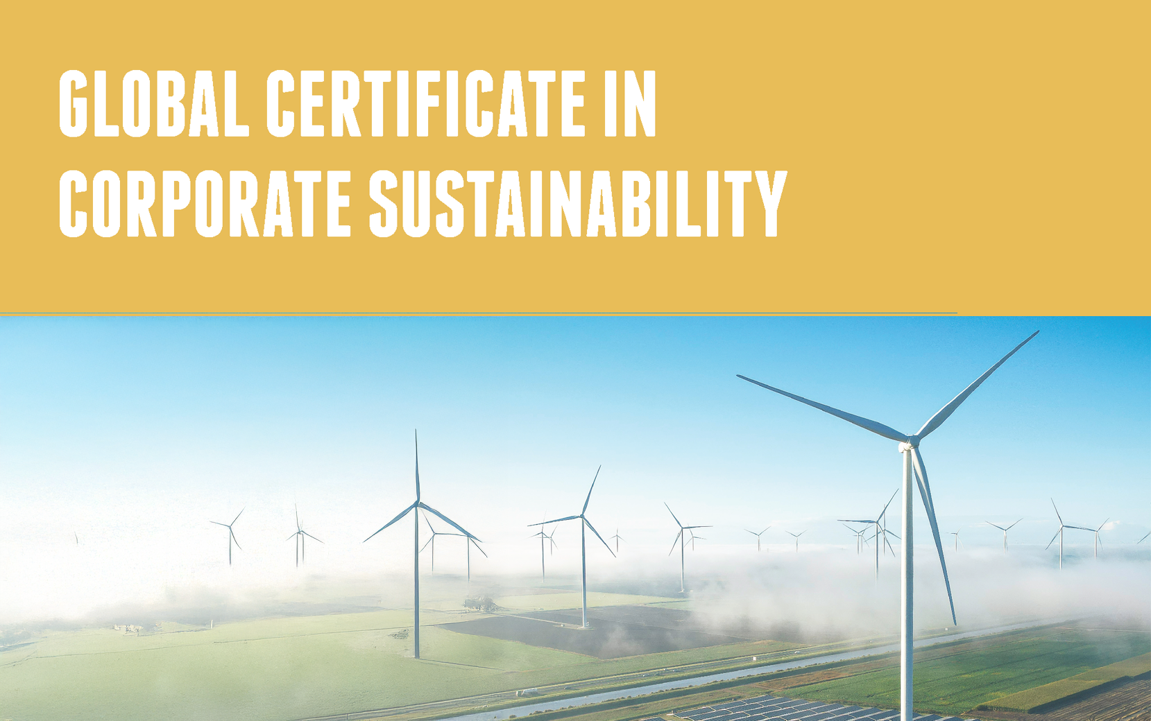 Corporate Sustainability Guide